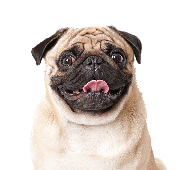 האזור הדיגיטלי שלכם